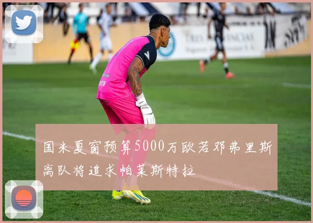 国米夏窗预算5000万欧若邓弗里斯离队将追求帕莱斯特拉