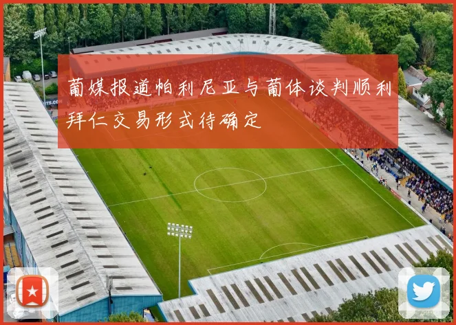 葡媒报道帕利尼亚与葡体谈判顺利拜仁交易形式待确定