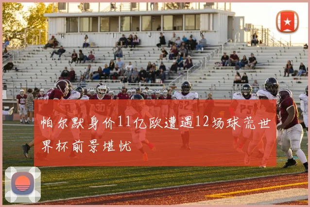 帕尔默身价11亿欧遭遇12场球荒世界杯前景堪忧